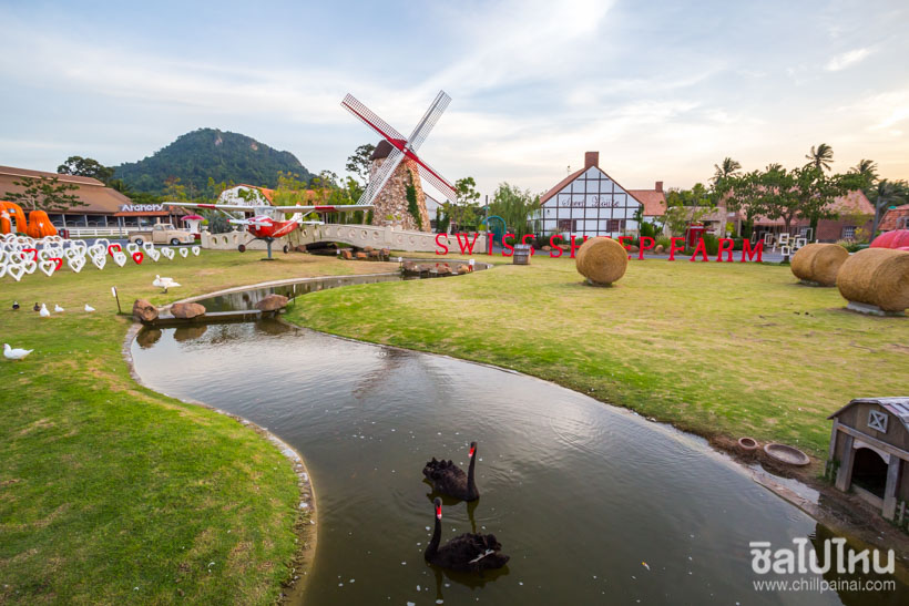 Swiss Sheep Farm Pattaya family ride
